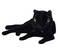 767797668