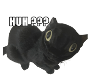 767797670