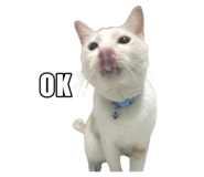 767797671