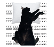 767797672