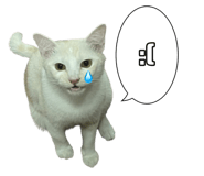 767797674