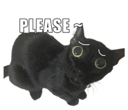 767797676