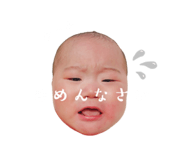 767798114