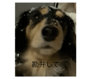 767804293