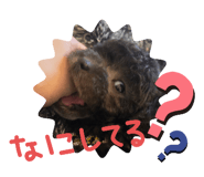 767805146