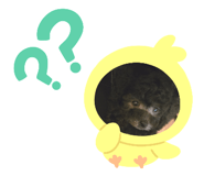 767805159