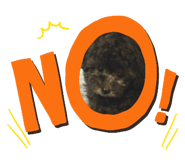 767805163