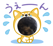 767805172