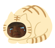 767805537