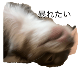 767834381