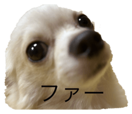 767834383