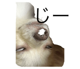767834384