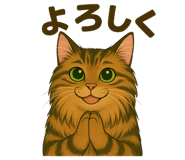 767847055