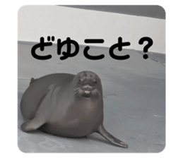 767852858