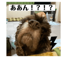 767853018