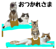 767857795