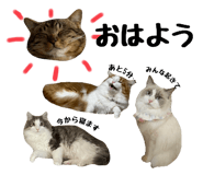 767857797