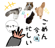 767857812