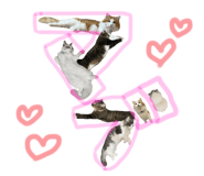 767857825