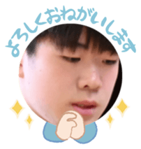 767861531