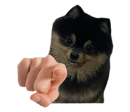 767864379