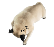 767864383
