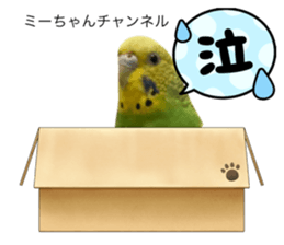 767871840