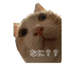 767875732