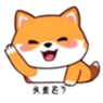 767877666