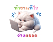 767879564
