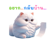 767879566