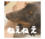 767883445