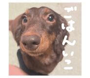 767883446