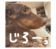 767883458