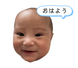 767884800