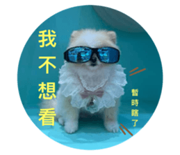 767889861
