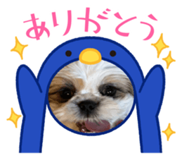 767901555