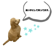 767904443