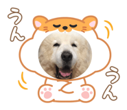 767904444