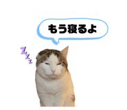 767904445