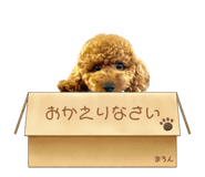 767905107