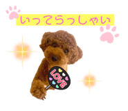 767905109