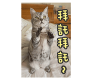 767905939