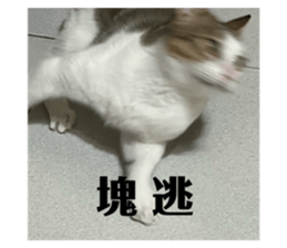 767913645