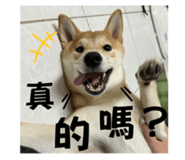 767922150