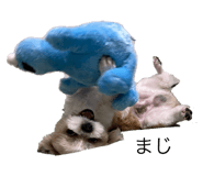 767923618