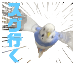767925739