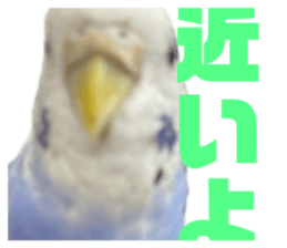 767925746