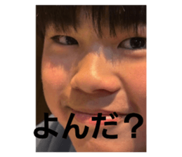 767966381