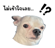 767972547